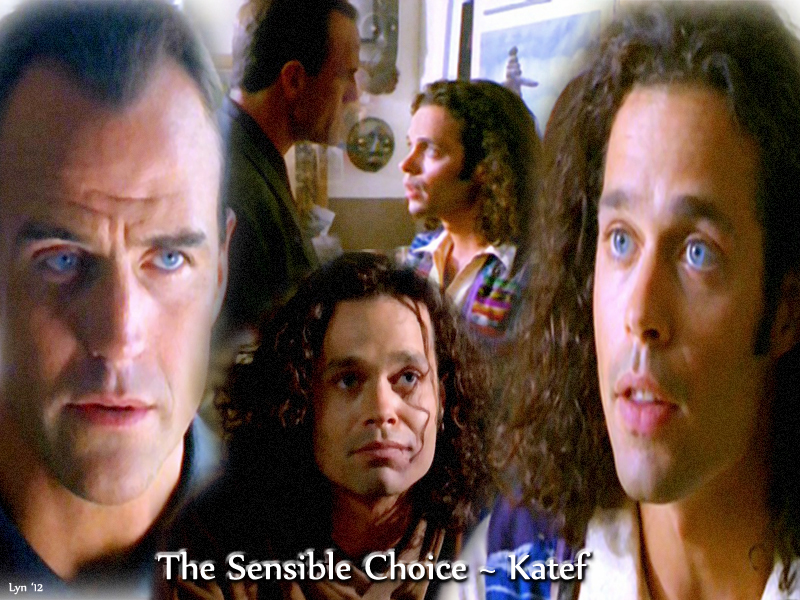 The Sensible Choice by Katef, artwork by Lyn